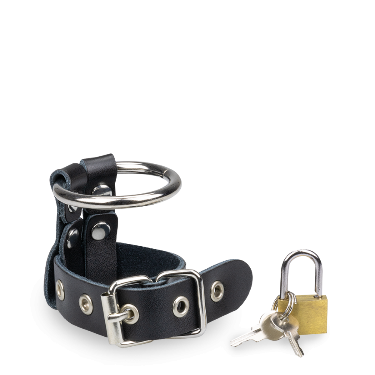 Anneau ring anneau métal et cadenas